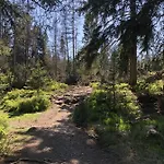 Hexe Ii Mit Kostenlosem Zugang Zum Neuen Fitnessstudio In Braunlage
