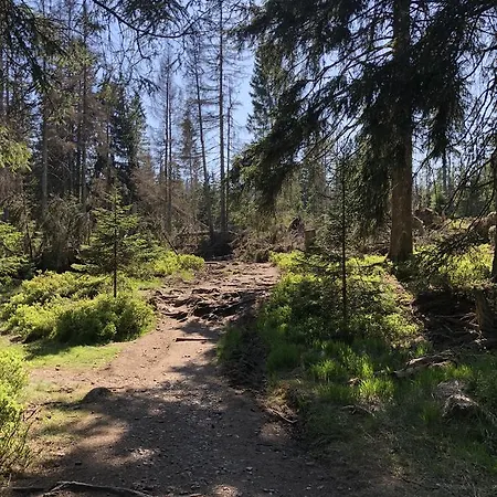 Hexe Ii Braunlage