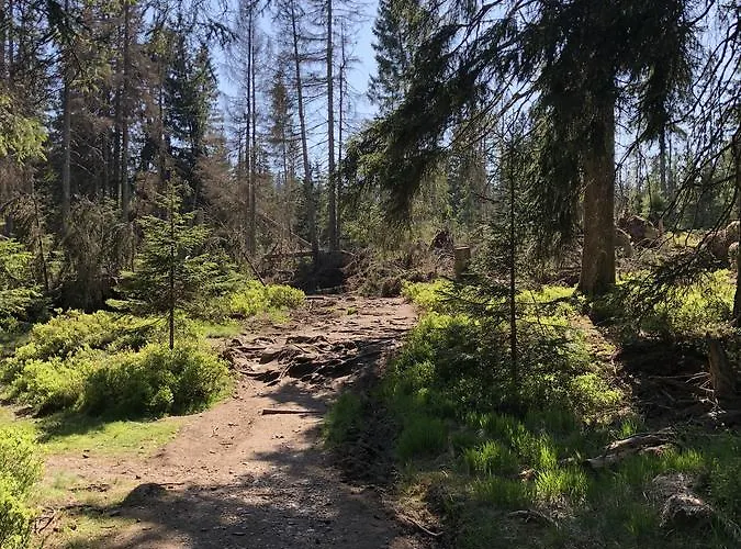 Hexe Ii Mit Kostenlosem Zugang Zum Neuen Fitnessstudio In Braunlage